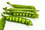 Pictures of Peas and Pea Grains with White Background on Pea